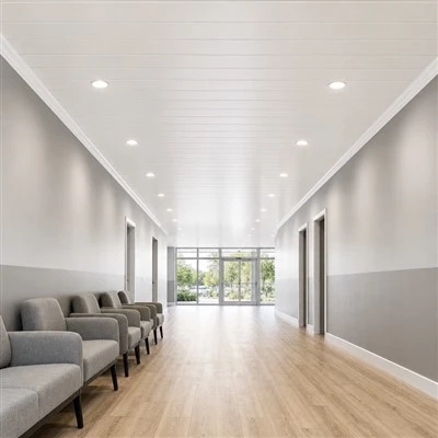 Plafon Cladding Panel